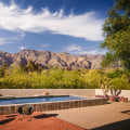 Unleashing Creativity in East Valley, Arizona: A Guide to Exploring the Outdoors