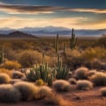 Unlocking Creativity: The Inspiring Landscape of East Valley, Arizona