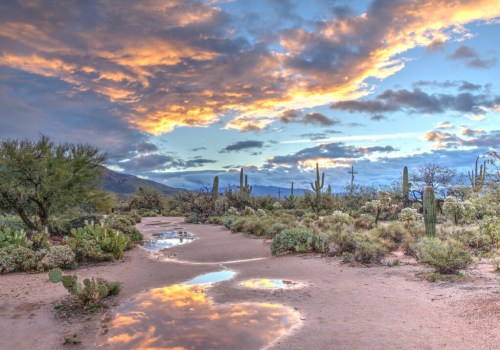 Unleashing Creativity: Discovering the Magic of East Valley, Arizona